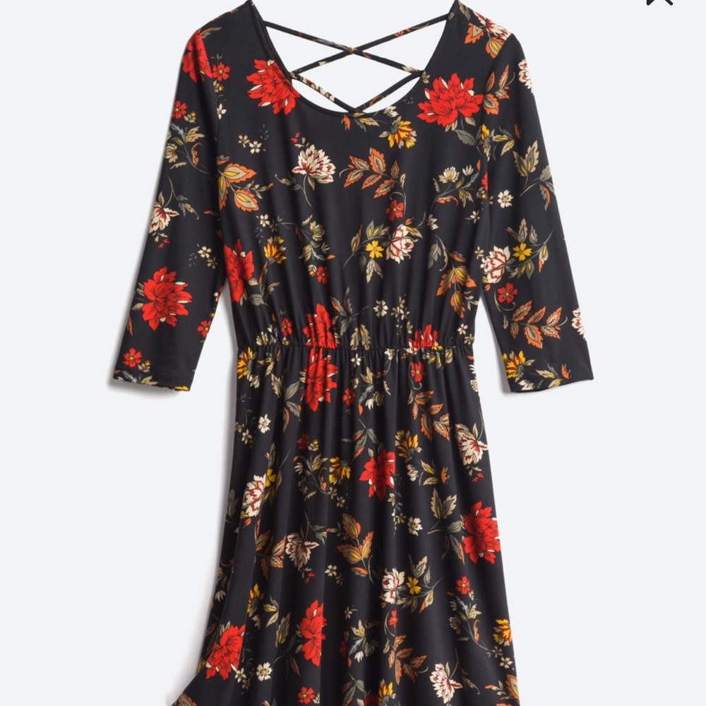 Marjorie back detail brushed knit dress